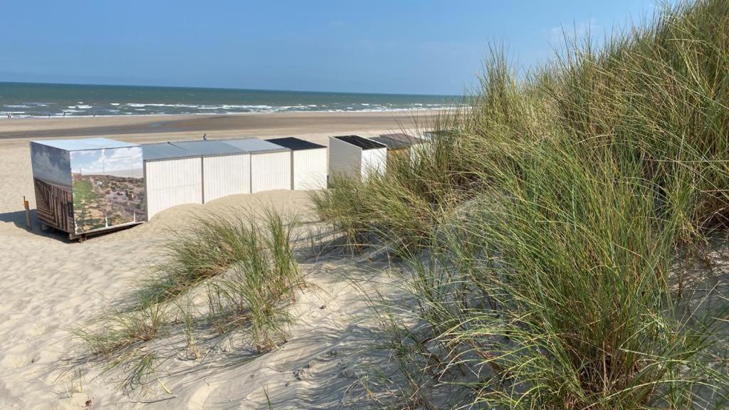 Strandhotel Dennenbos Oostkapelle Bagian luar foto